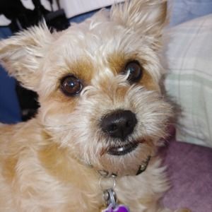 Meet your Posher, Lisa